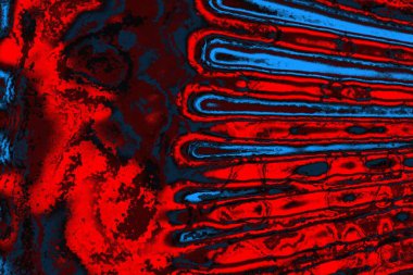 soyut doku, grunge arkaplan, boşluk duvar kağıdını kopyala  