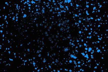 soyut mavi ve kırmızı doku, grunge arkaplan, boşluk duvar kağıdını kopyala