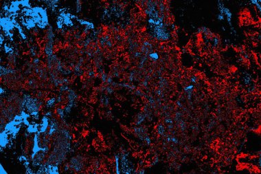 soyut mavi ve kırmızı doku, grunge arkaplan, boşluk duvar kağıdını kopyala