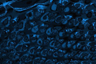 soyut doku, grunge arkaplan, boşluk duvar kağıdını kopyala      