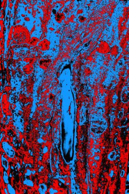 soyut mavi ve kırmızı doku, grunge arkaplan, boşluk duvar kağıdını kopyala