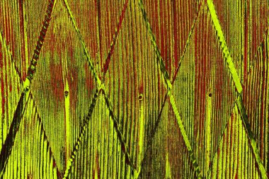  grunge arkaplanı, boşluk duvar kağıdını kopyala, soyut renkli doku arkaplanı