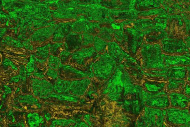 soyut yeşil doku arkaplanı, boşluk duvar kağıdını kopyala