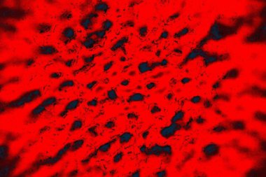 soyut doku, grunge arkaplan, boşluk duvar kağıdını kopyala