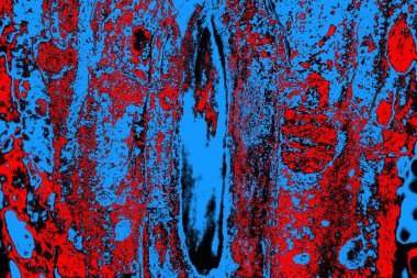 soyut mavi ve kırmızı doku, grunge arkaplan, boşluk duvar kağıdını kopyala