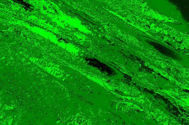 soyut yeşil doku arkaplanı, boşluk duvar kağıdını kopyala