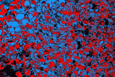 soyut mavi ve kırmızı doku, grunge arkaplan, boşluk duvar kağıdını kopyala