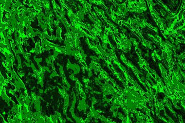 soyut yeşil doku arkaplanı, boşluk duvar kağıdını kopyala