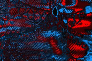 Soyut renk dokusu, grunge arkaplanı, boşluk duvar kağıdını kopyala