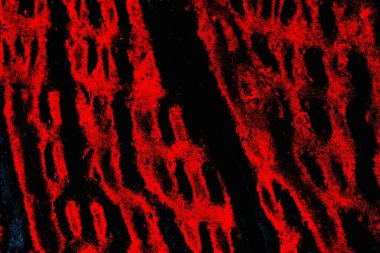 Soyut renk dokusu, grunge arkaplanı, boşluk duvar kağıdını kopyala