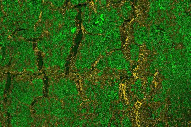 Soyut renk dokusu, grunge arkaplanı, boşluk duvar kağıdını kopyala