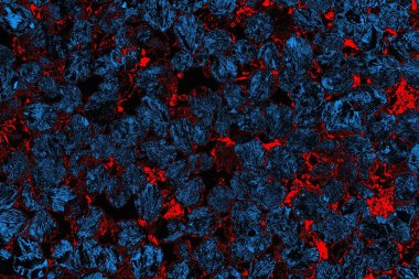 soyut mavi ve kırmızı doku, grunge arkaplan, boşluk duvar kağıdını kopyala