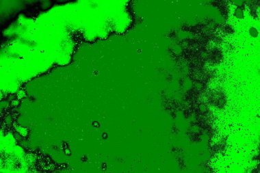 soyut yeşil doku arkaplanı, boşluk duvar kağıdını kopyala