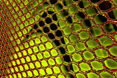  grunge arkaplanı, boşluk duvar kağıdını kopyala, soyut renkli doku arkaplanı