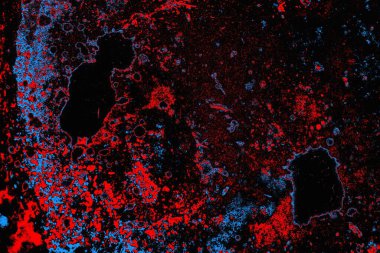 parlak kırmızı doku arkaplanı, boşluk duvar kağıdını kopyala