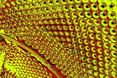 Soyut pejmürde bir doku. Asit grunge arkaplanı, metin veya reklamınız için boşluk resmini kopyala