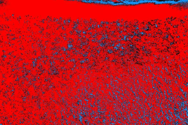 Jasny Czerwony Niebieski Tekstury Tło Kopiowanie Tapety Przestrzeni — Zdjęcie stockowe