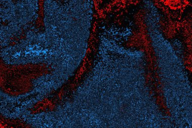 soyut mavi ve kırmızı doku, grunge arkaplan, boşluk duvar kağıdını kopyala