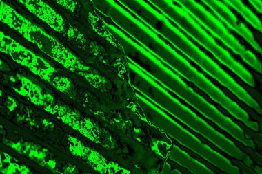 yeşil doku arkaplanı, boşluk duvar kağıdını kopyala