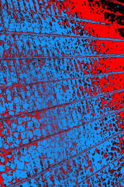 soyut mavi ve kırmızı doku, grunge arkaplan, boşluk duvar kağıdını kopyala