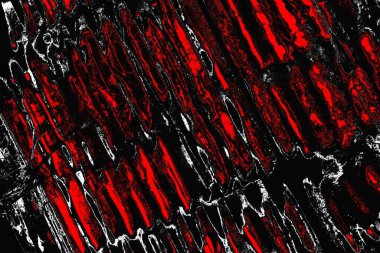 grungy renksiz soyut doku arkaplanı, kopya alan duvar kağıdı tasarımı konsepti