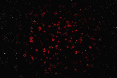 grungy renksiz soyut doku arkaplanı, kopya alan duvar kağıdı tasarımı konsepti