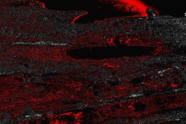 grungy renksiz soyut doku arkaplanı, kopya alan duvar kağıdı tasarımı konsepti