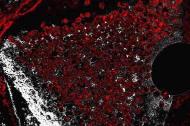 grungy renksiz soyut doku arkaplanı, kopya alan duvar kağıdı tasarımı konsepti