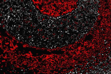 grungy renksiz soyut doku arkaplanı, kopya alan duvar kağıdı tasarımı konsepti