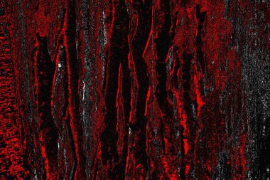 grungy renksiz soyut doku arkaplanı, kopya alan duvar kağıdı tasarımı konsepti