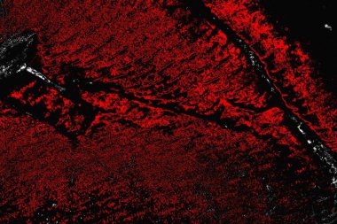 grungy renksiz soyut doku arkaplanı, kopya alan duvar kağıdı tasarımı konsepti