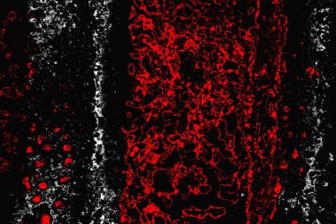 grungy renksiz soyut doku arkaplanı, kopya alan duvar kağıdı tasarımı konsepti