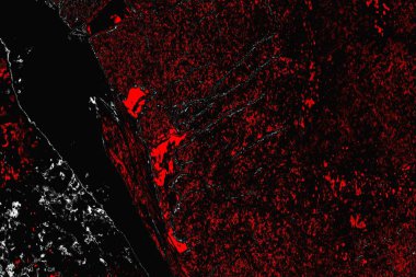 grungy renksiz soyut doku arkaplanı, kopya alan duvar kağıdı tasarımı konsepti