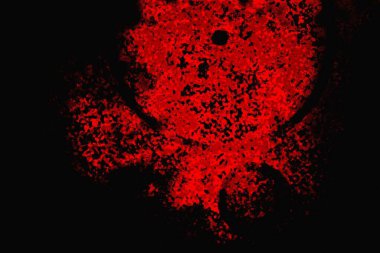 grungy renksiz soyut doku arkaplanı, kopya alan duvar kağıdı tasarımı konsepti