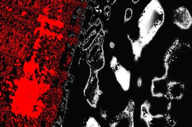 grungy renksiz soyut doku arkaplanı, kopya alan duvar kağıdı tasarımı konsepti