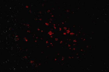 grungy renksiz soyut doku arkaplanı, kopya alan duvar kağıdı tasarımı konsepti