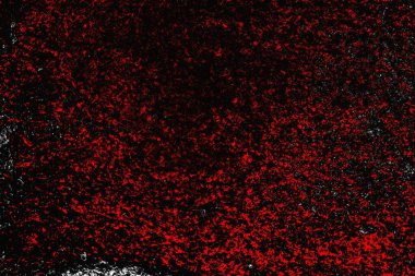 grungy renksiz soyut doku arkaplanı, kopya alan duvar kağıdı tasarımı konsepti