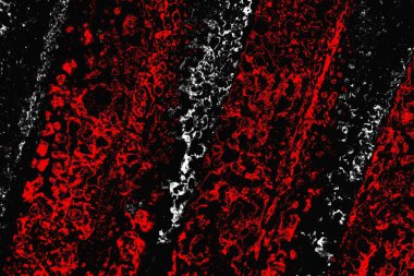 grungy renksiz soyut doku arkaplanı, kopya alan duvar kağıdı tasarımı konsepti