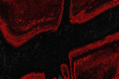 grungy renksiz soyut doku arkaplanı, kopya alan duvar kağıdı tasarımı konsepti