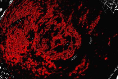 grungy renksiz soyut doku arkaplanı, kopya alan duvar kağıdı tasarımı konsepti