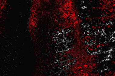 grungy renksiz soyut doku arkaplanı, kopya alan duvar kağıdı tasarımı konsepti