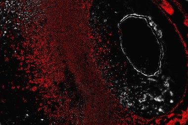 grungy renksiz soyut doku arkaplanı, kopya alan duvar kağıdı tasarımı konsepti