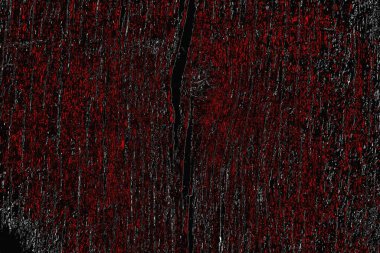 grungy renksiz soyut doku arkaplanı, kopya alan duvar kağıdı tasarımı konsepti