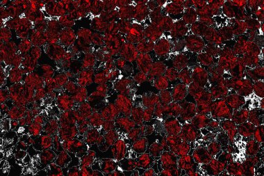 grungy renksiz soyut doku arkaplanı, kopya alan duvar kağıdı tasarımı konsepti