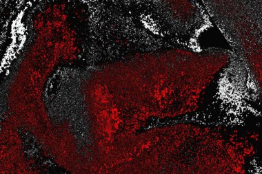 grungy renksiz soyut doku arkaplanı, kopya alan duvar kağıdı tasarımı konsepti