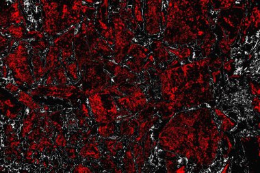 grungy renksiz soyut doku arkaplanı, kopya alan duvar kağıdı tasarımı konsepti