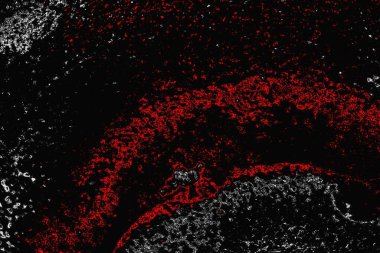 grungy renksiz soyut doku arkaplanı, kopya alan duvar kağıdı tasarımı konsepti