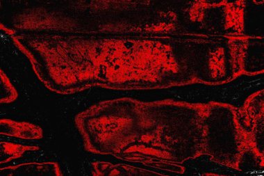 grungy renksiz soyut doku arkaplanı, kopya alan duvar kağıdı tasarımı konsepti