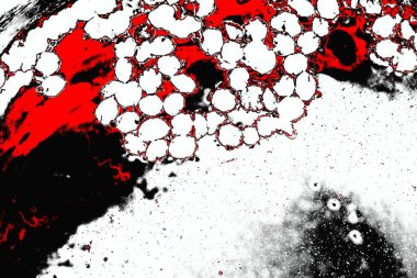 Boşluk duvar kağıdını, grunge arkaplanını, soyut renkli doku arkaplanını kopyala