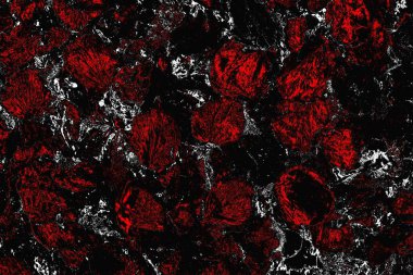 grungy renksiz soyut doku arkaplanı, kopya alan duvar kağıdı tasarımı konsepti